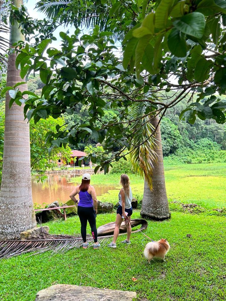 Hotel Chale Nosso Sitio 帕科蒂 外观 照片