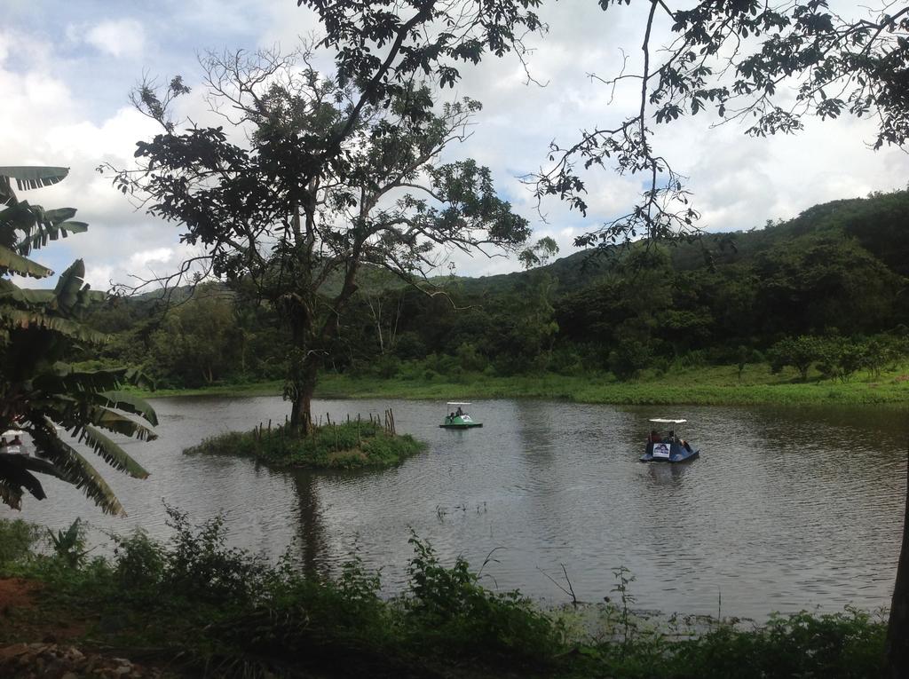 Hotel Chale Nosso Sitio 帕科蒂 外观 照片