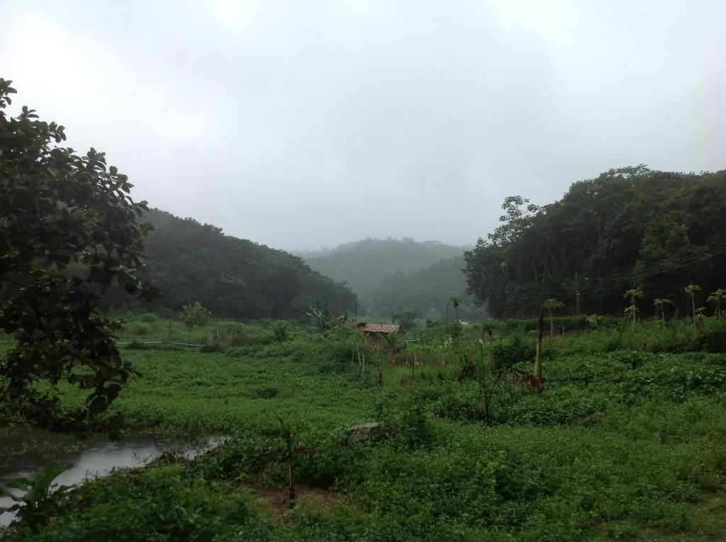 Hotel Chale Nosso Sitio 帕科蒂 外观 照片